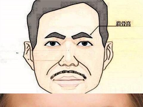 眉骨高低对一个人的面部轮廓太重要了!眉骨高者上镜极占优势|赵露思_新浪新闻