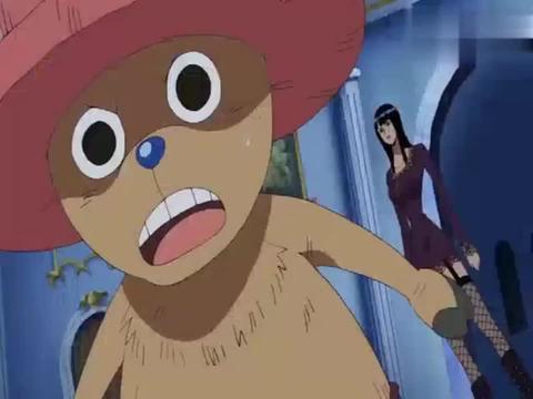 海贼王:路飞说影子索大长得像乔巴:完全不像,罗宾:确实