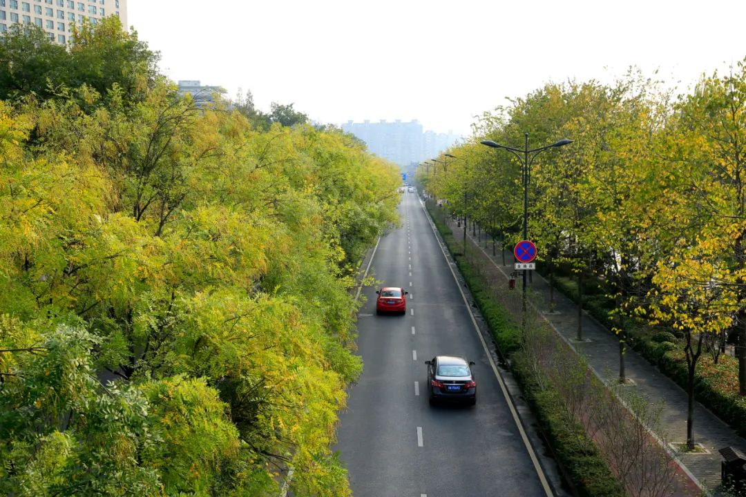 靓!杭州13条道路美到上了省级榜单!有没有你家附近?|西湖_新浪新闻