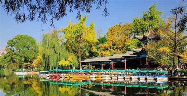 春城高端休闲产业升级：从传统茶文化到现代服务业的发展转变