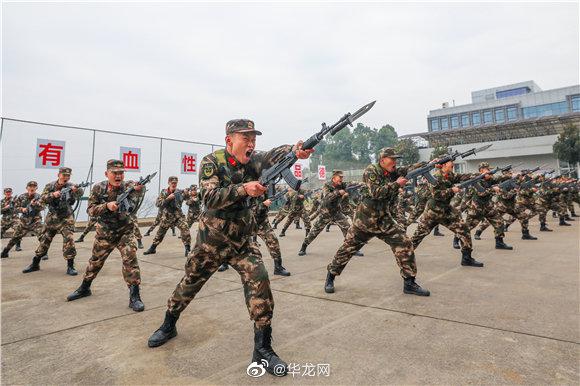 重庆陆军图片
