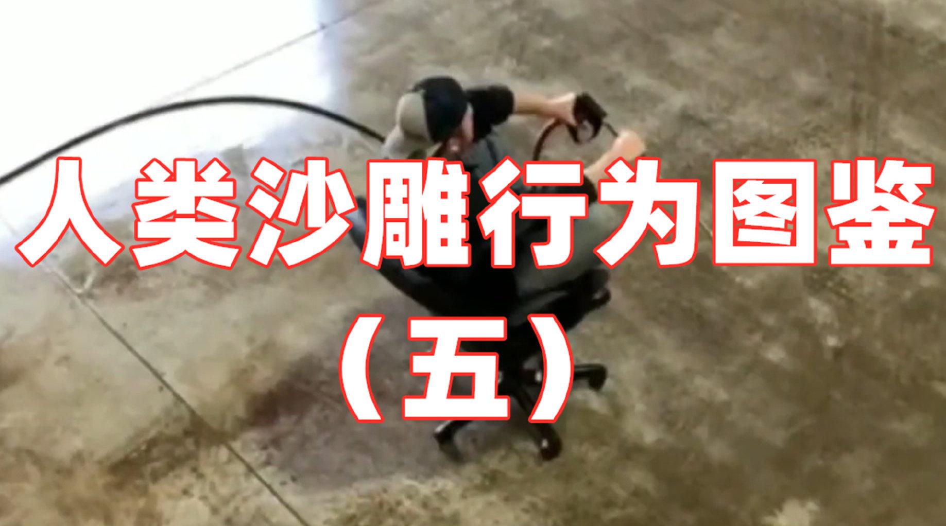 人类沙雕行为图鉴(五)