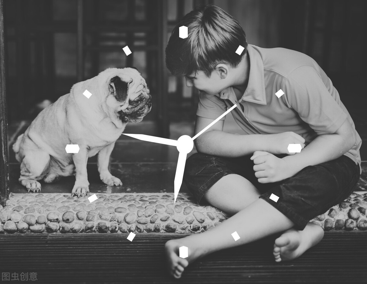 老实说：活不过15岁的狗狗，多数都有这5大特征休闲区蓝鸢梦想 - Www.slyday.coM