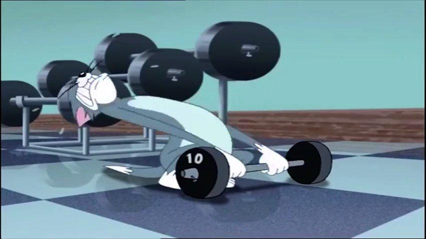 汤姆吃的太胖采用了速成法减肥杰瑞也去健身房帮忙67