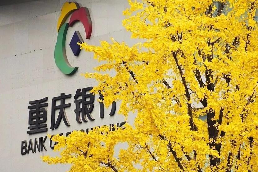 业绩增速暴跌不良率却暴涨,股东到处藏雷重庆银行能扛得住?