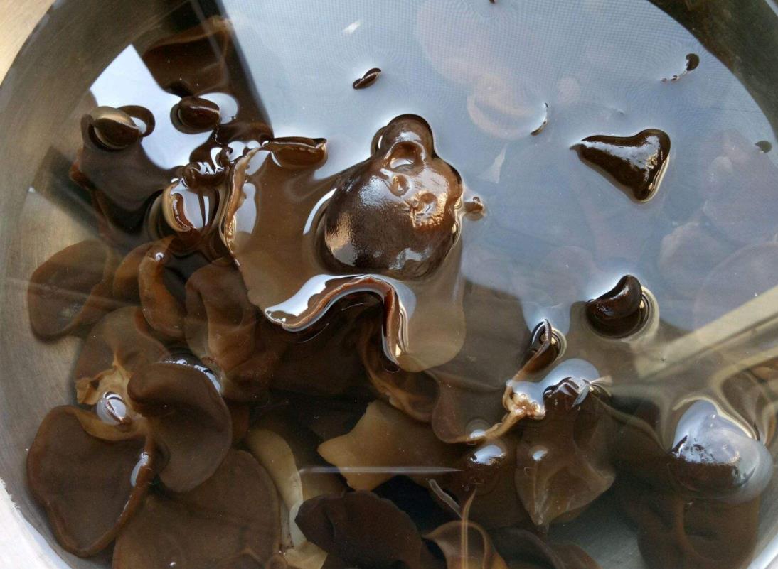 泡木耳用热水就错了,涨发率低口感差,学会这样做,发得又快又好