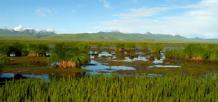 很多人想象不到|草地|松潘草原|战士_新浪新闻