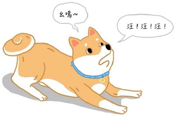 上网课忘记关麦是什么体验为了避免尴尬我学狗叫还是翻车了