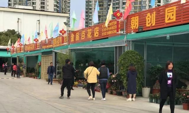 汕头花木市场换新址,环境升级更便利|新广场|花木|花市_新浪新闻