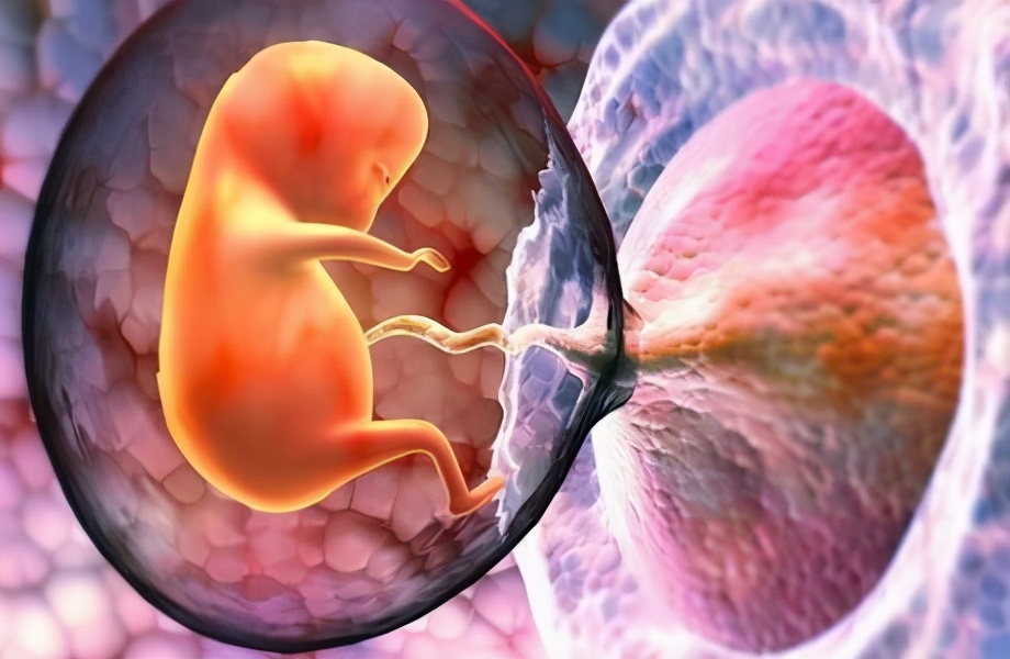 警惕科学家首次在人类胎盘中发现微塑料颗粒婴儿可能被污染