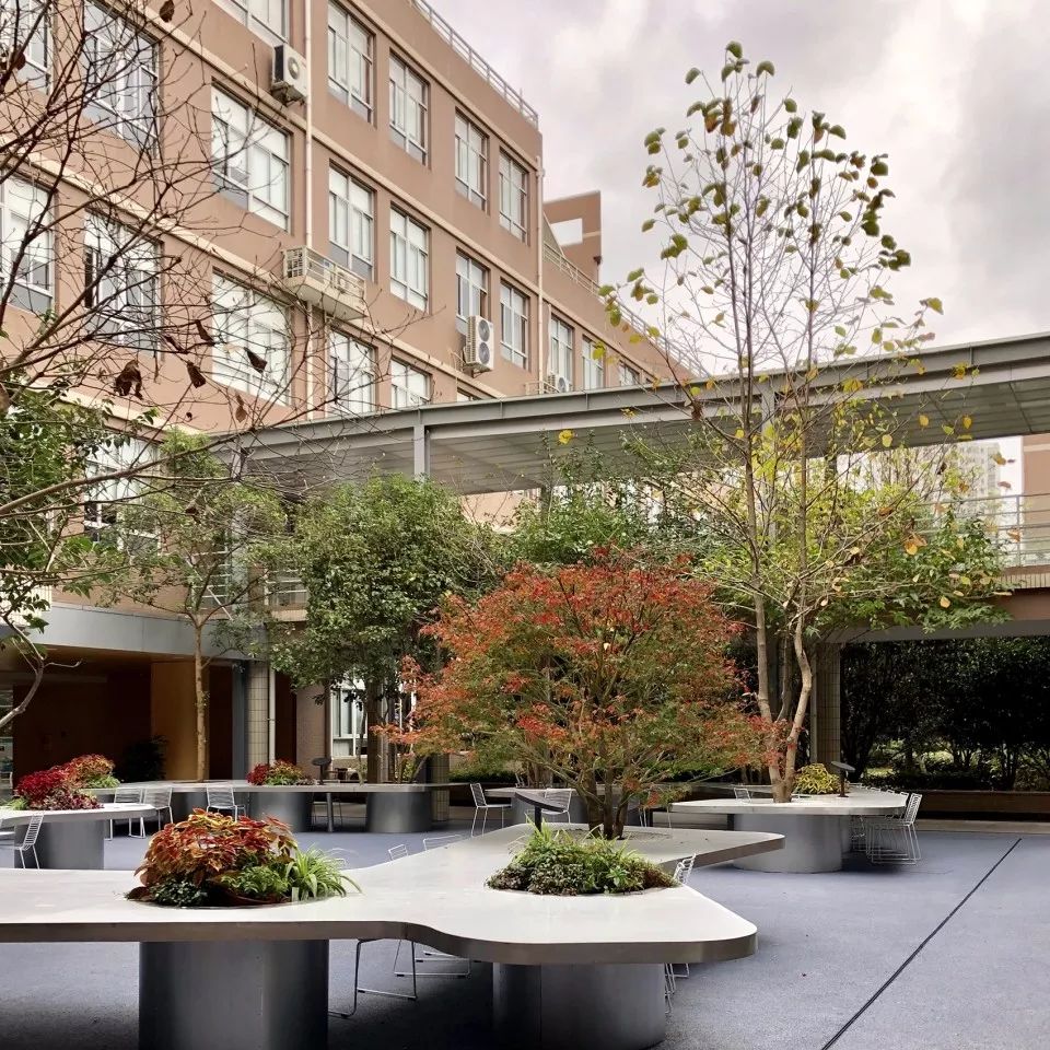 办公庭院设计新名词树桌花园