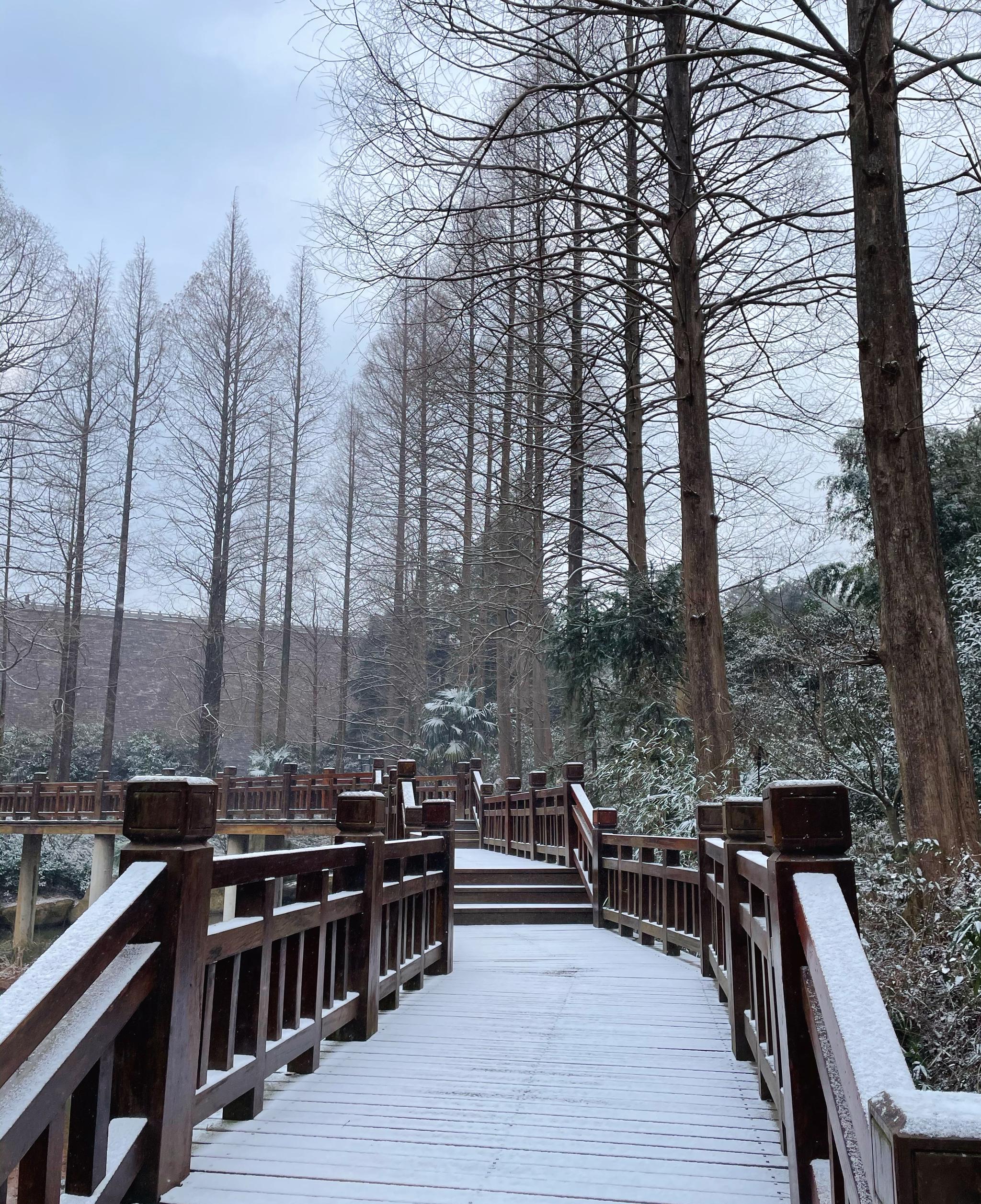金华北山雪景图片
