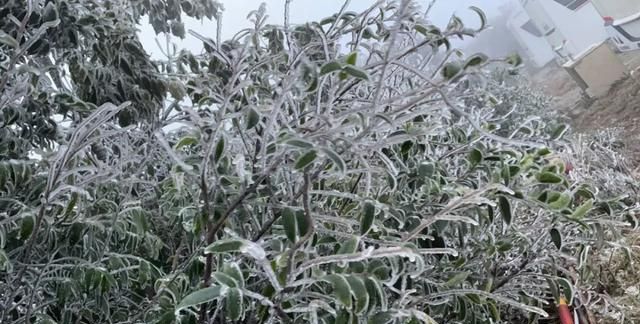 “小姐姐”差点被吹飞!今天,大容山结冰了,上山有提醒……休闲区蓝鸢梦想 - Www.slyday.coM