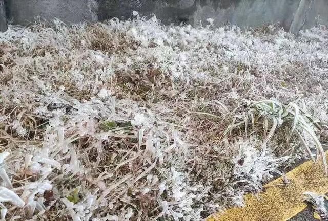 “小姐姐”差点被吹飞!今天,大容山结冰了,上山有提醒……休闲区蓝鸢梦想 - Www.slyday.coM