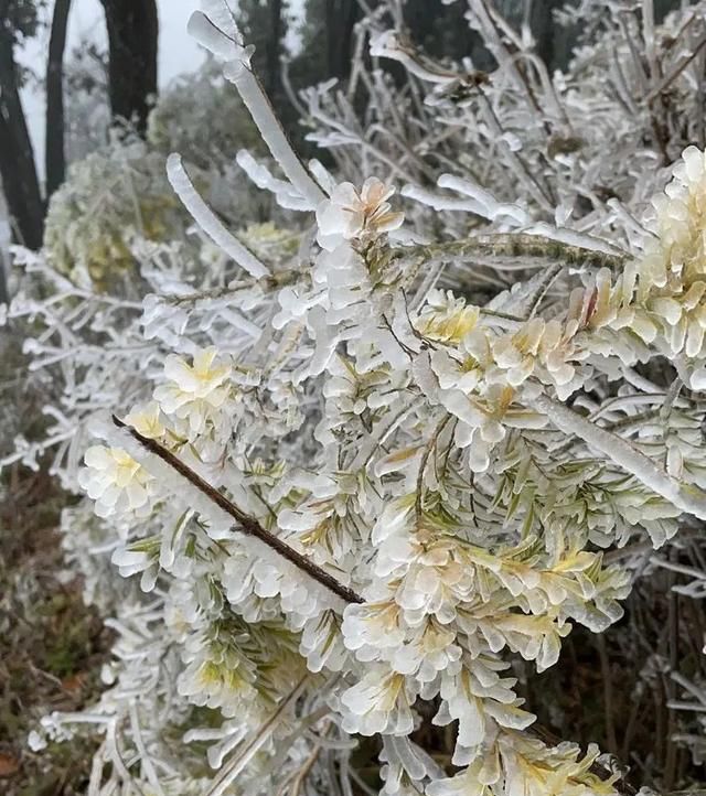 “小姐姐”差点被吹飞!今天,大容山结冰了,上山有提醒……休闲区蓝鸢梦想 - Www.slyday.coM