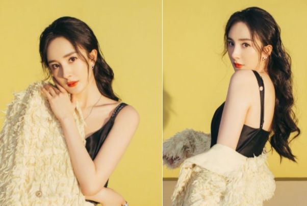 SEO基础知识与排名