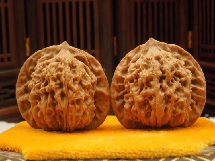 文玩核桃品种详解盘龙纹