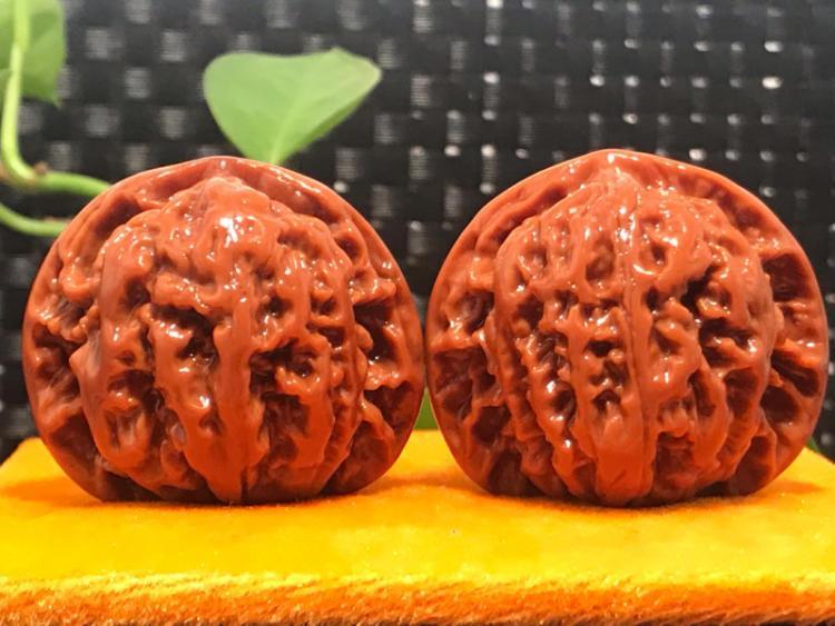 文玩核桃品种详解盘龙纹