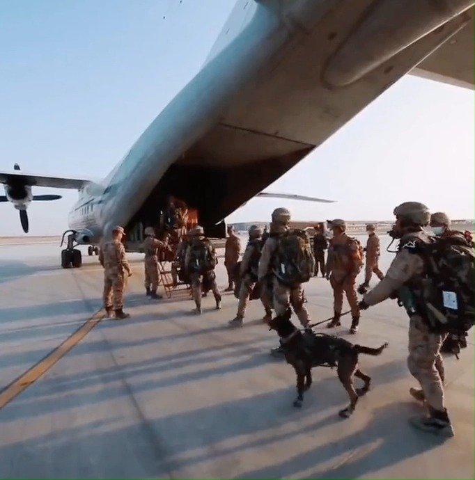 雷神突击队员带军犬跳伞,真正的神犬奇兵!