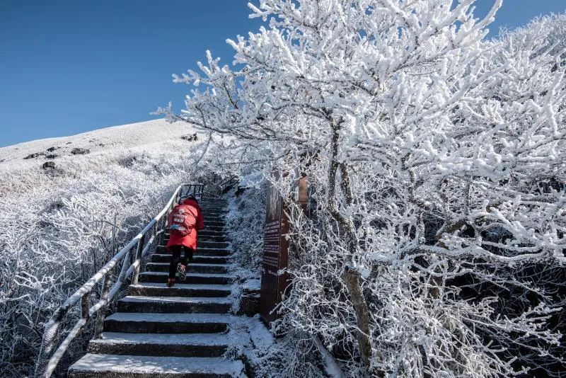 2021年的第一场雪下得太浪漫了