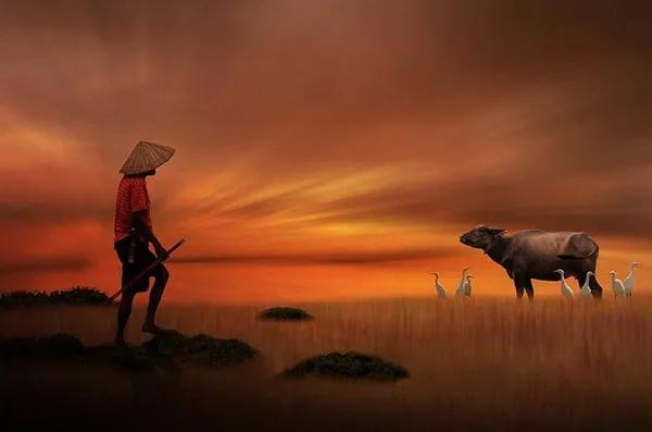 庄子：三条“鱼”，就是人生的三重境界|庄子|鱼|鱼之乐_新浪新闻