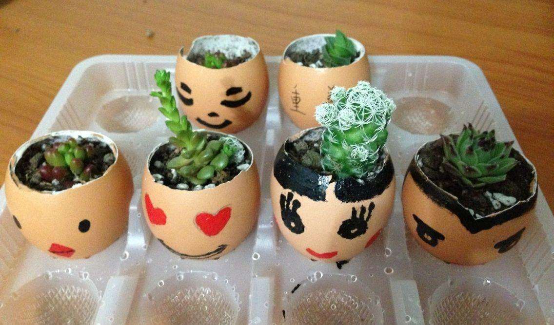 鸡蛋壳|养花|植物_新浪新闻