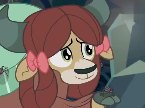 小马宝莉:约娜克服恐惧,跟蜘蛛成为朋友,还顺利找到老朋友