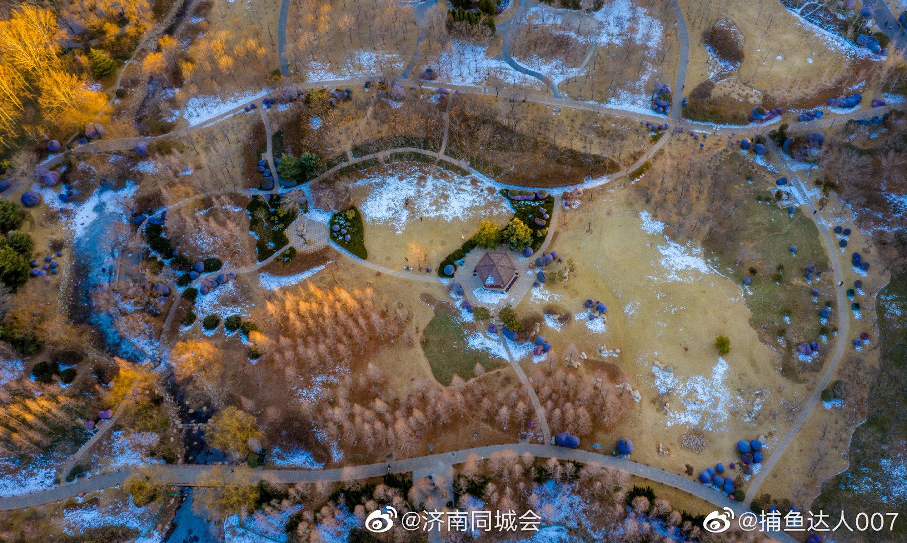 济南森林公园的冬日航拍～美丽冻人 摄影