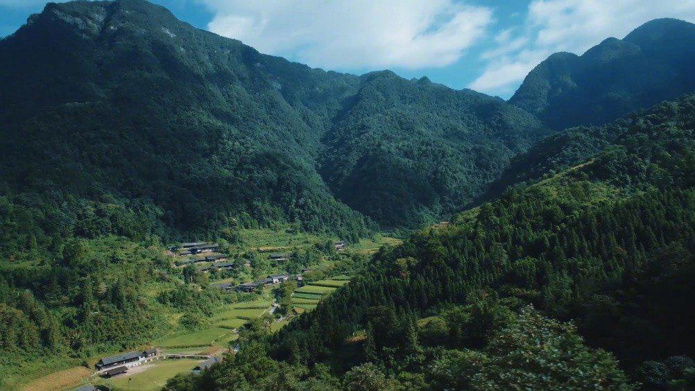 碗米溪村的振兴画卷,就在今天开启