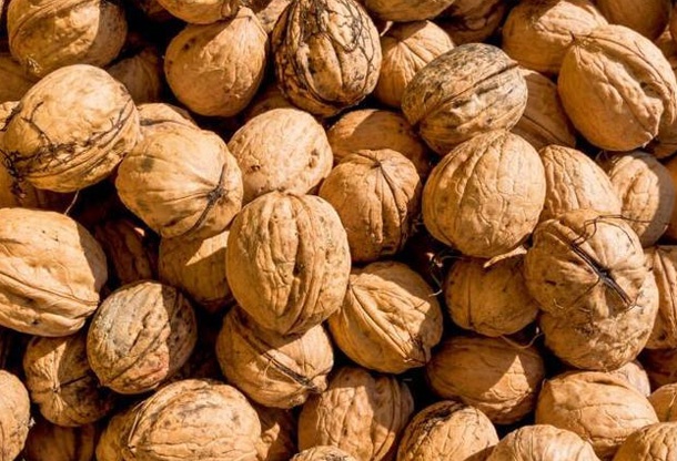 核桃被称"万岁子""长寿果",教你4种最营养吃法
