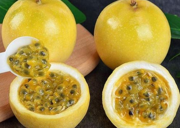 冬季养生多吃"鸡蛋果",美容减肥,强身防癌睡得香,全家身体棒