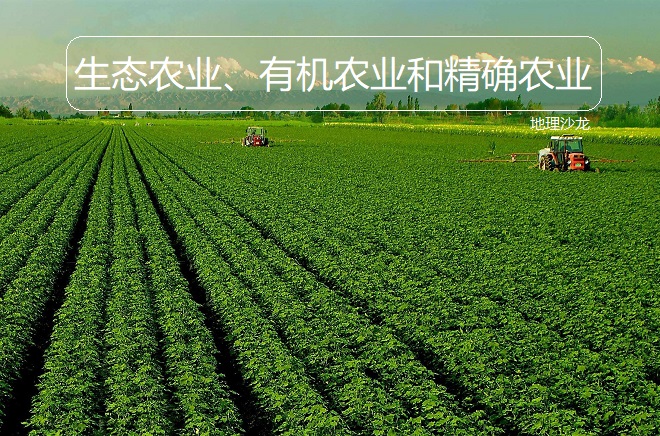 和副业等类型,而种植业又可以分为粮食作物种植和经济作物种植两大类