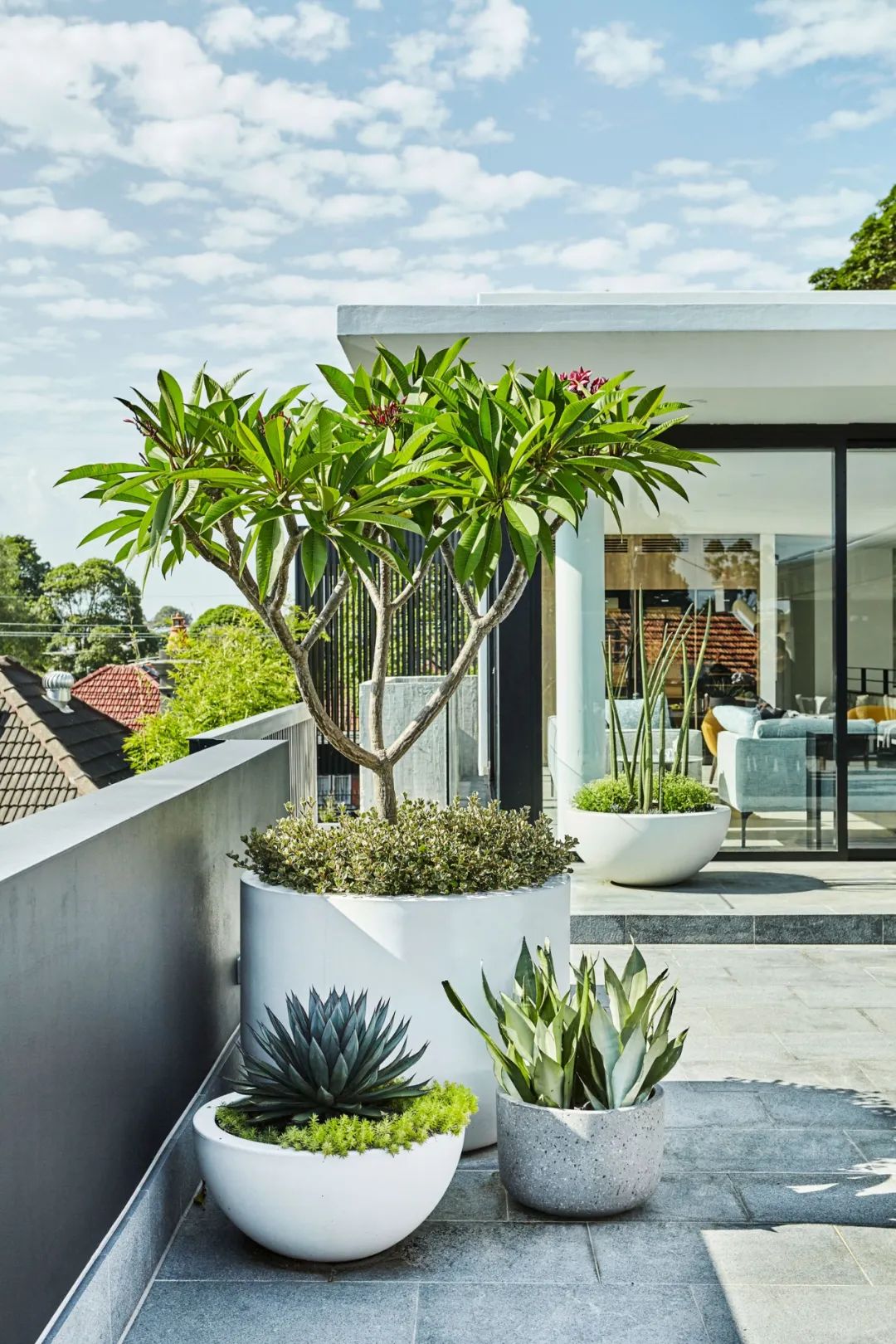 露台花园营造技巧分享,喜欢的可以悄悄收藏一波