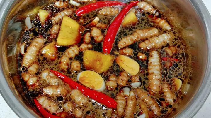 我家孩子最爱吃的螺丝咸菜,在家腌上一罐,早起吃粥特别下饭