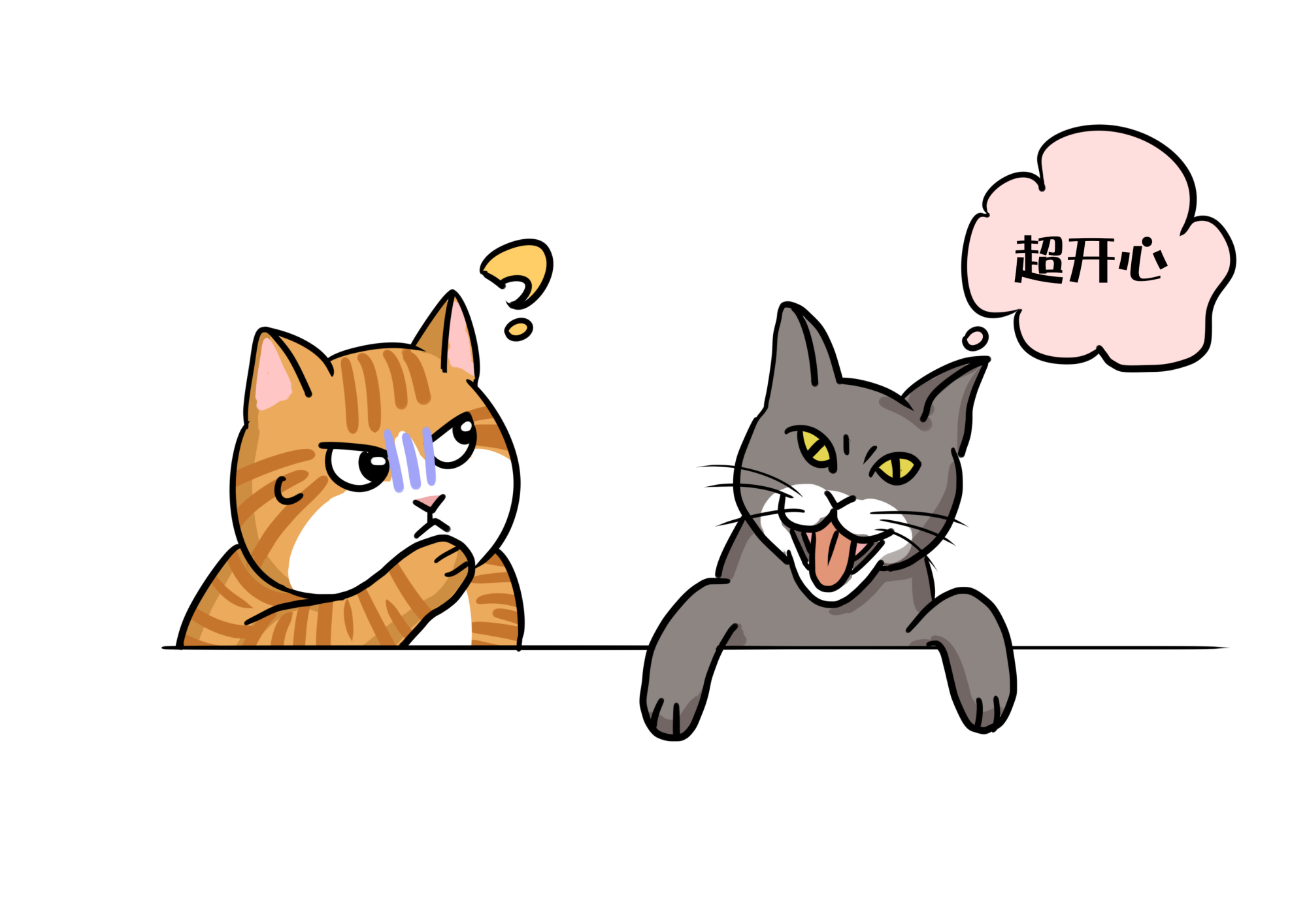 老年猫咪突然精神百倍?会是回光返照吗?铲屎官得多陪陪它们