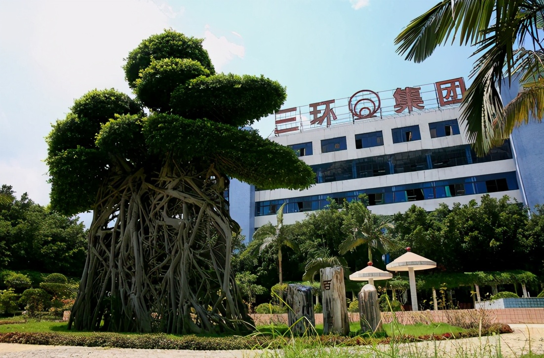 南充三环电子有限公司,是广东潮州三环(集团)股份有限公司下属的全资