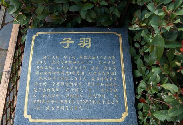 昨日之反省今天之进步