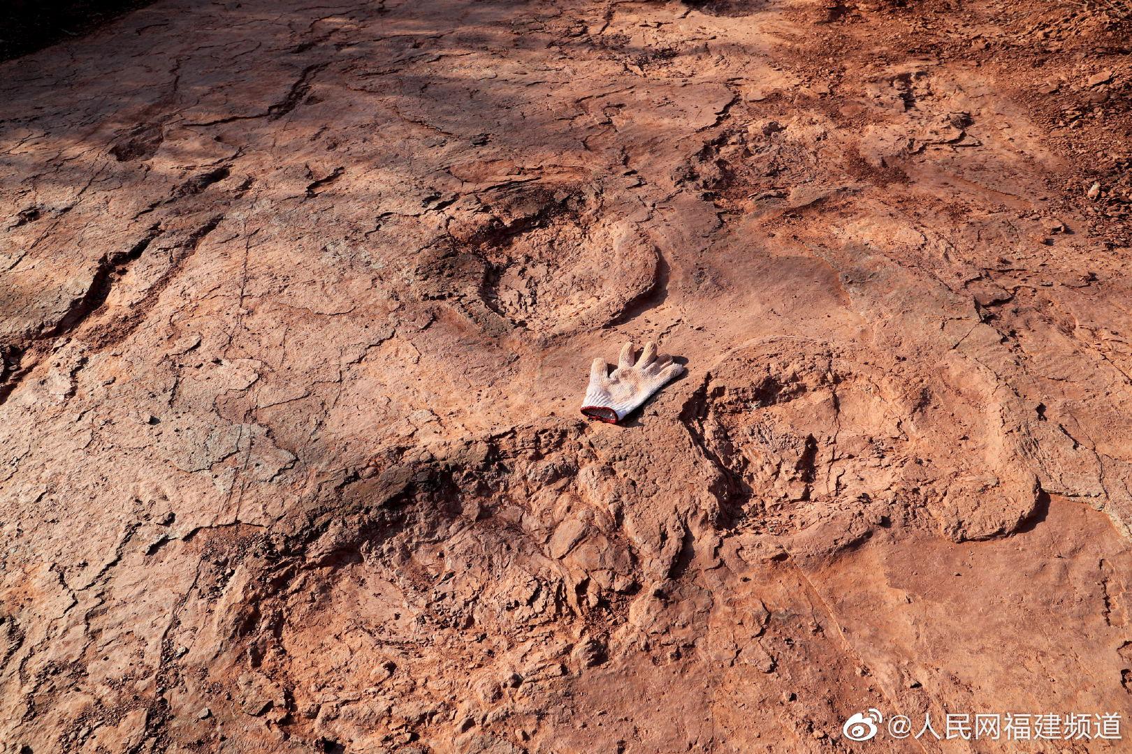福建发现至少八种恐龙遗迹