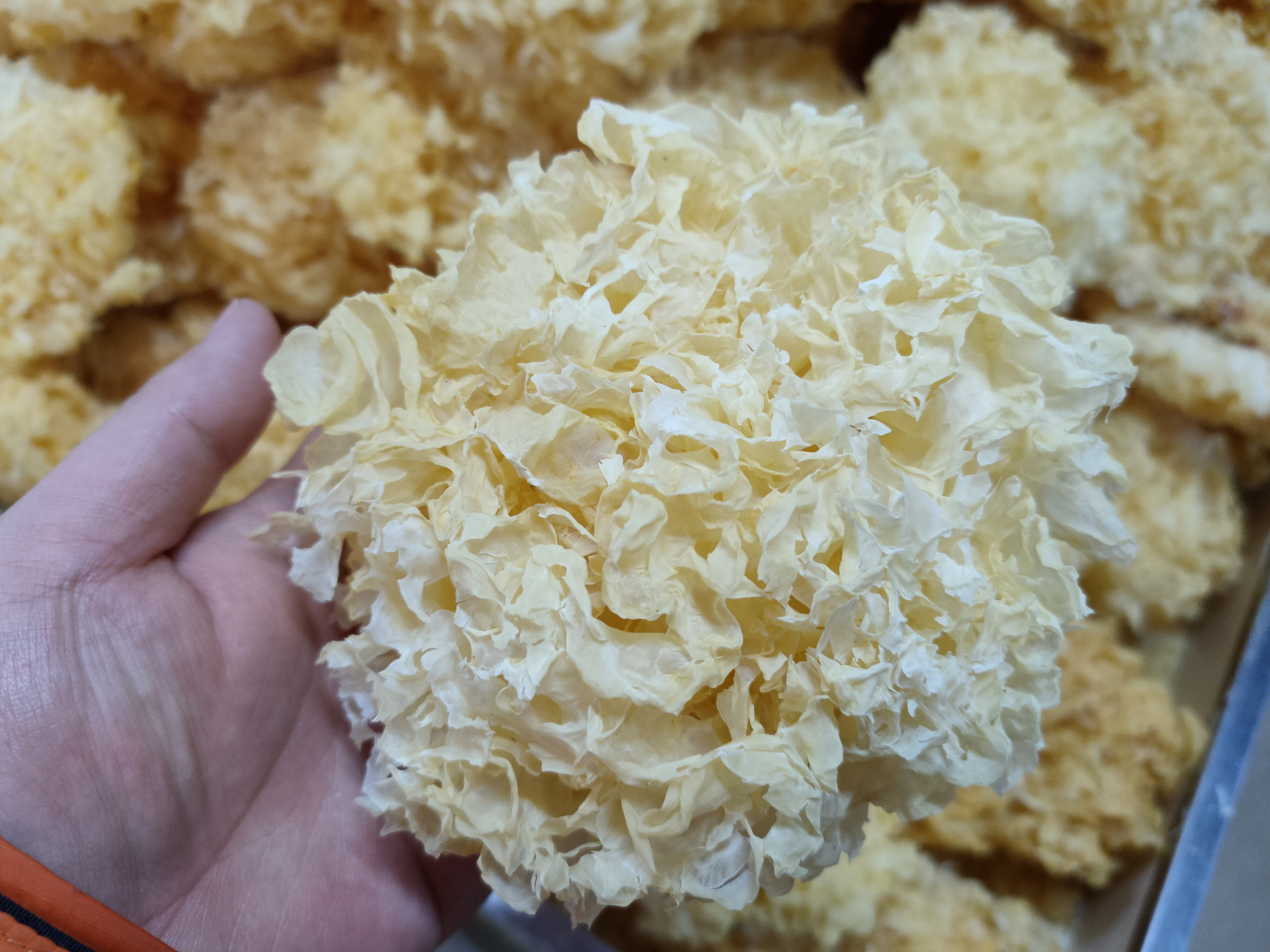 3个挑选技巧要牢记,赶紧分享给朋友家人|银耳|硫磺|熏制_新浪新闻