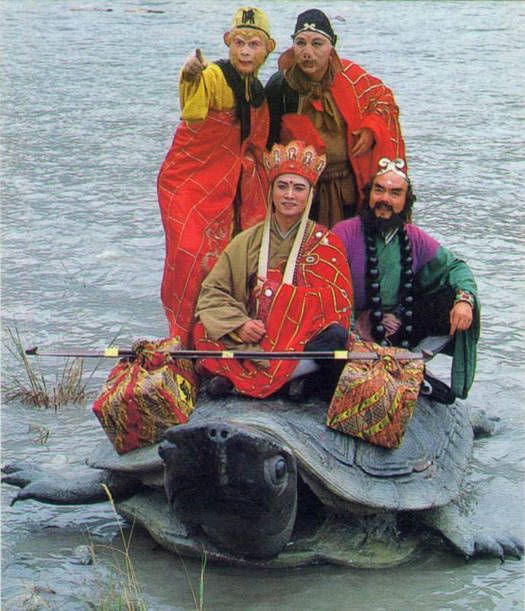 史上最大巨龟,《西游记》里的神龟都没它大,重量堪比4辆小汽车