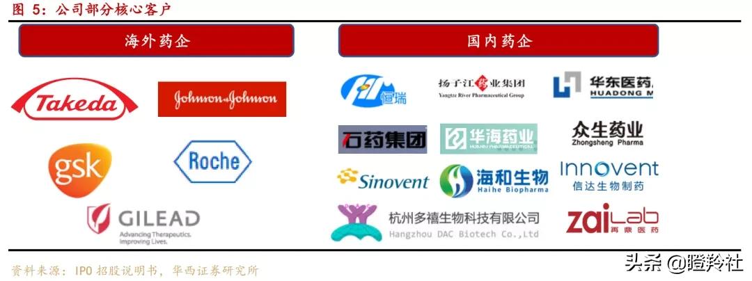 cxo真香定律再现发掘一只订单暴增潜力爆棚的小药明