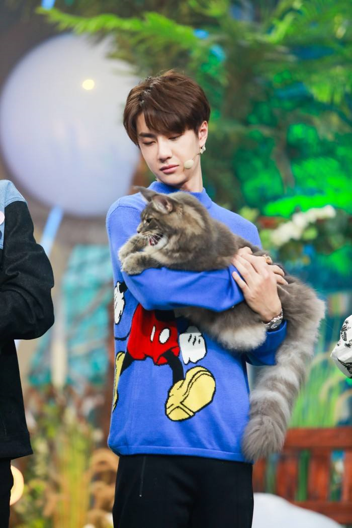 撸猫少年王一博,眼神温柔可爱治愈,是酷盖也是奶盖