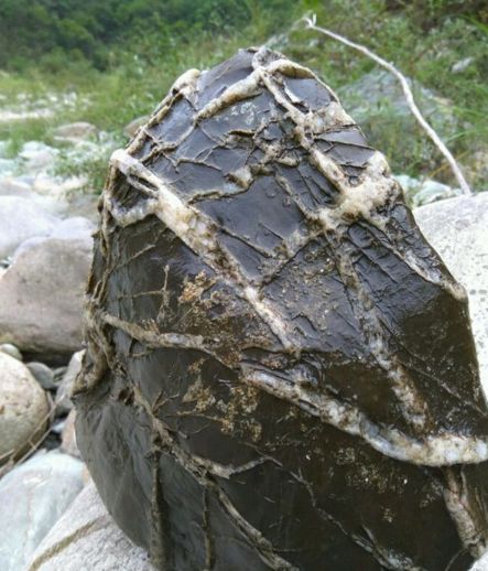 农村小伙野外意外捡到奇怪龟石,拿起来一看后乐坏了