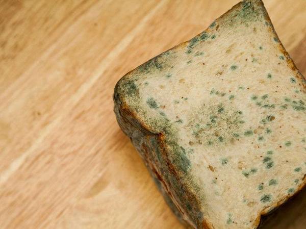 家里几处地方,是黄曲霉素的"温床",为健康着想