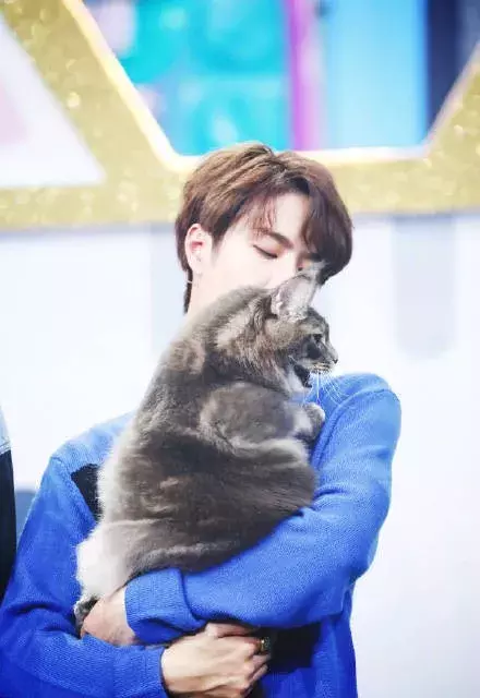 撸猫少年王一博,眼神温柔可爱治愈,是酷盖也是奶盖