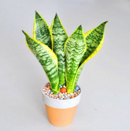 6岁男孩患白血病，被查出跟这2样东西有关！内含大量甲醛污染休闲区蓝鸢梦想 - Www.slyday.coM