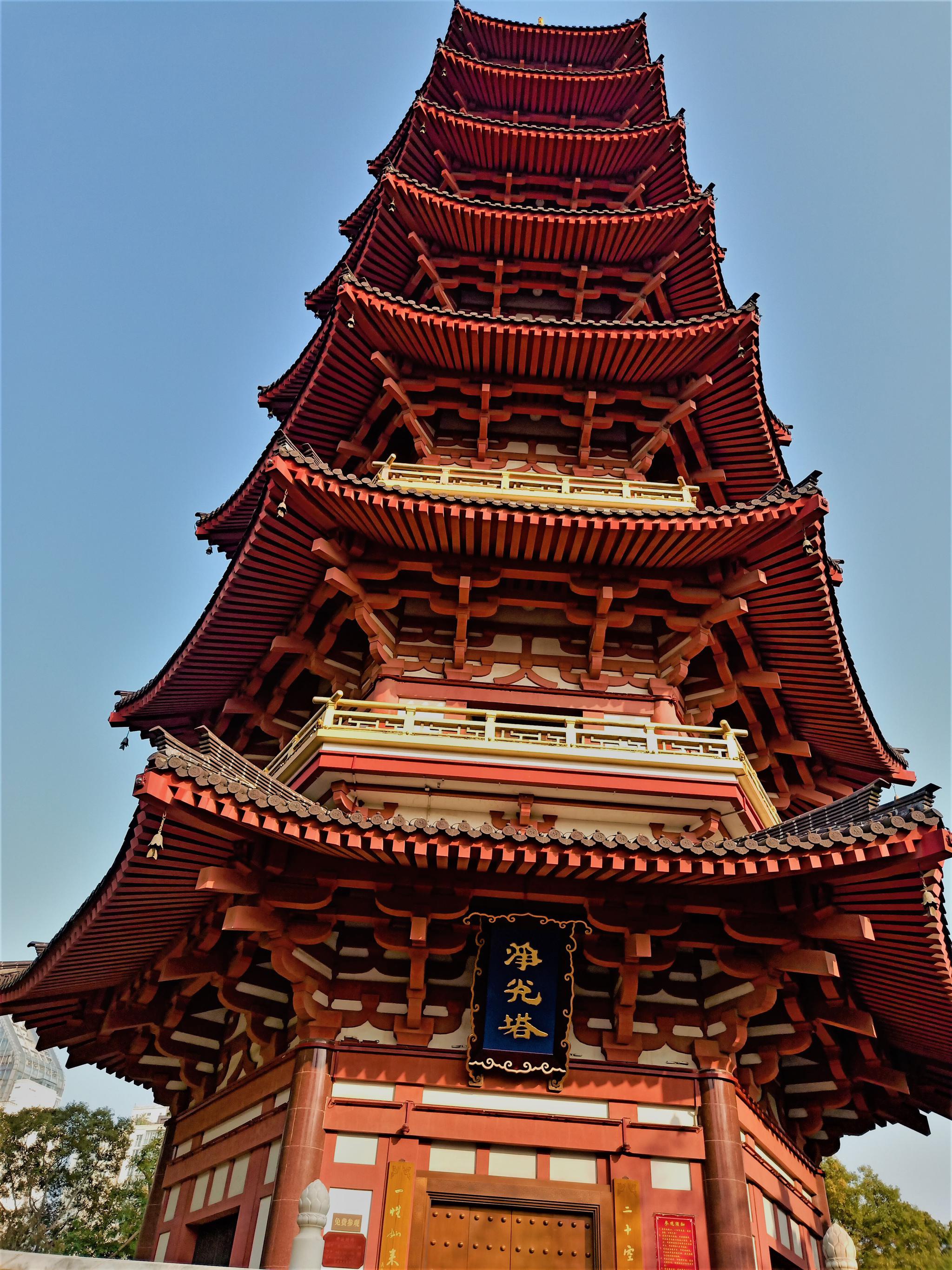 温州一公园走红,面积10.5公顷就在市区,景美人少还免门票
