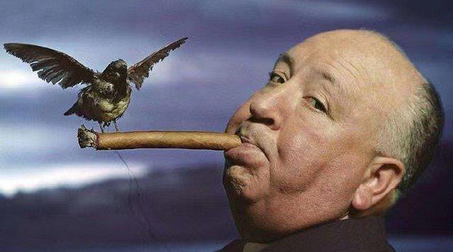 3分钟教你用手机拍出希区柯克变焦效果