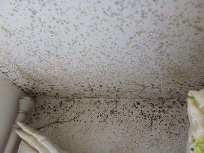 墙壁大片发霉全是黑点,与其费力清洁!