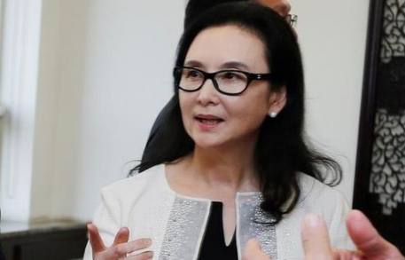 她一生只演过一个角色却成经典,转战商业成亿万老总|邱佩宁|嫦娥|老总